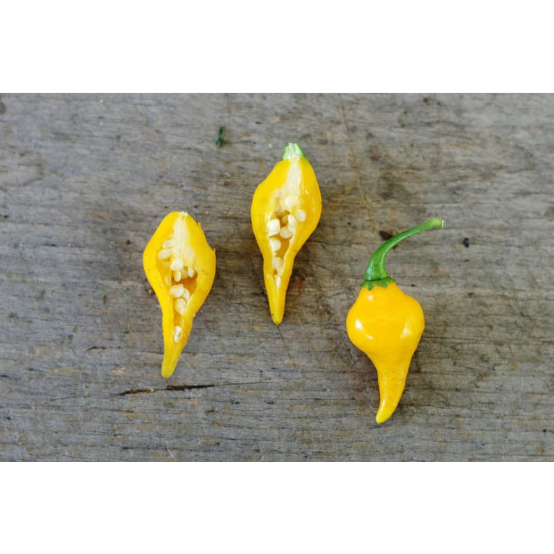 Biquinho Yellow Pepper (55 Days)