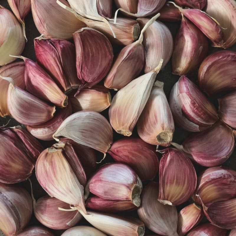 German Red Garlic (Fall Planting) - Fall