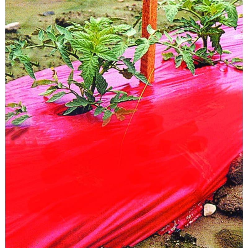 Selective Reflective Mulch (Srm) - Red Plastic - Supplies