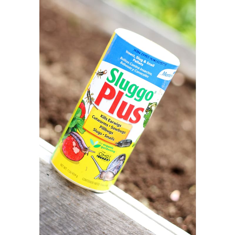 Sluggo Plus (Organic) - Supplies